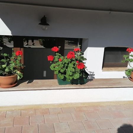 Ana Boutique Bed & Breakfast อัลบายูเลีย ภายนอก รูปภาพ
